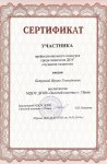 Сертификат _Аукцион талантов