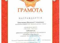 Достижения Бакуменко Наталья Степановна