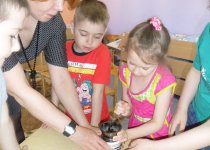 Фотогалерея Вертийко Ирина Александровна