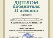 Достижения Бакуменко Наталья Степановна