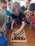 Международный день шахмат2