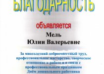 Достижения Мель Юлия Валерьевна