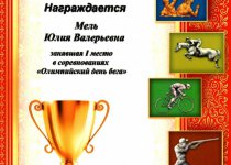 Достижения Мель Юлия Валерьевна