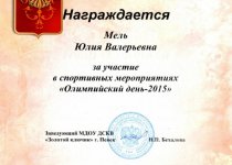 Достижения Мель Юлия Валерьевна