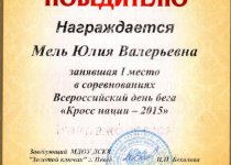 Достижения Мель Юлия Валерьевна
