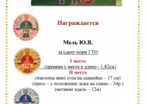 Достижения Мель Юлия Валерьевна