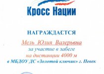 Достижения Мель Юлия Валерьевна