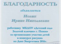 Новик Достижения