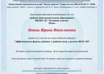 Новик Достижения