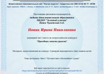 Новик Достижения