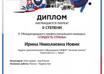 Новик Достижения
