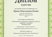 Новик Достижения