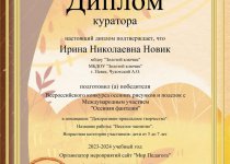 Новик Достижения
