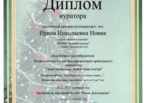 Новик Достижения