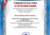 Новик Достижения